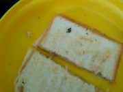 This tuna and cheese sand which with lime and pepper is so fucking good