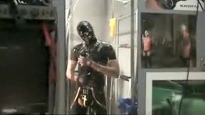 Rubber Boss and his dog