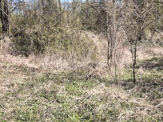 The stepmother takes out her stepson's ramrod and lets him pee.