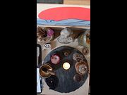 2026/08/03 - Zen Practice – Altar Offering