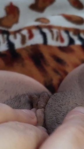 Three Girlfriends Cum Loudly One After Another Close-up