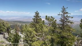 View from Mount Charleston