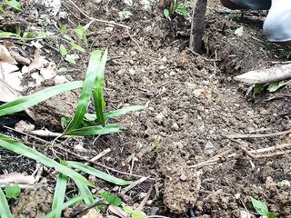 Gumawa muna ako ng pwesto bago mag KANTUTAN