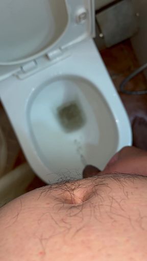 Pissing in Toilet