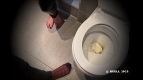 Femdom Toilet Slave Tease