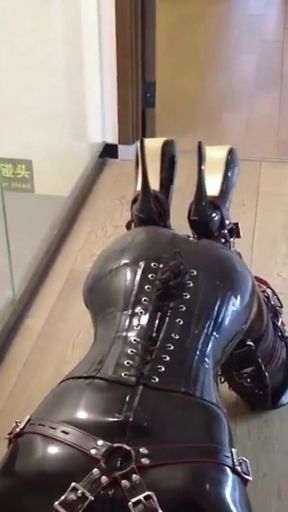 Mz12 - Latex-bound Puppy Vibrates to Reach Orgasm