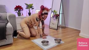 4K ANGRY BARKING RABIDLY GASPING SNIFFING ALL THE ROOM