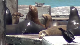 More behind the scenes with Asian starlet London Keyes