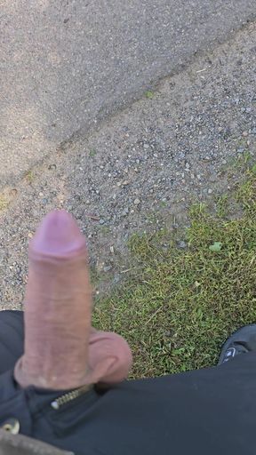 Flashing My Dick on the road
