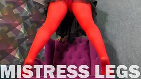Mistress Legs In Sexy Colored Pantyhose (MOV HD)