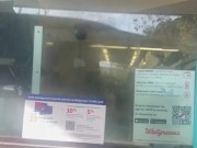 Dickflash Walgreens
