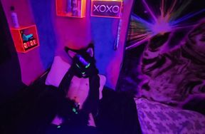 Alleycat paws off with new toy