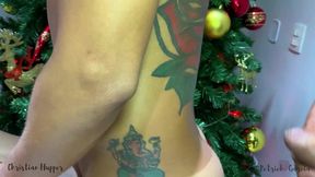 o natal em que dividi o peru com amigo