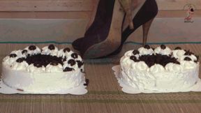 Two cream cakes for her Zara Heels