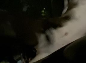 Parking Lot Edge Fest Thick Trans Clit Gushes Destroyed