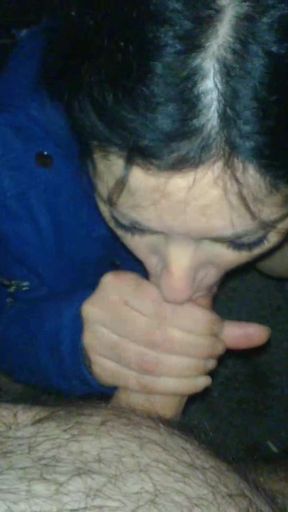 Mature slut gives outdoor blowjob with cum in mouth   Clip 1