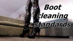 Boot cleaning standards (AVI)