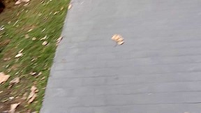 Fancy costume out door sex on Helloween