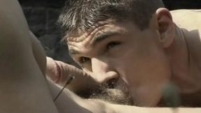 Diamond's Hairy Men 8