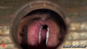 Bound man Dillon Diaz endures strappado and deep anal pounding from TS Mistress Aspen Brooks