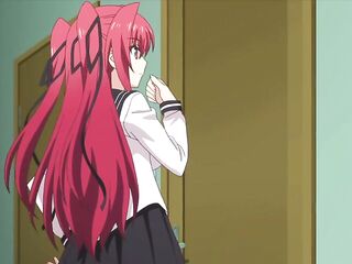 Shinmai Maou no Testament Manga Version