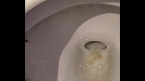 Du sperme coule de mon cul de pd dans le wc