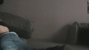 morning milk on the ducksin the early morning in a flat in toulouse france in ...