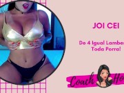 De Quatro Lambendo Toda Porra! | JOI CEI | Punheta Guiada | #20
