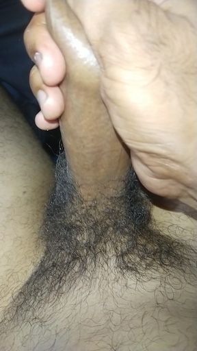 Desi Land
