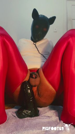 Please Insert a Very Thick Dick with a Leash Into My Ass and Whip Me a Lot While I Hold This Position.