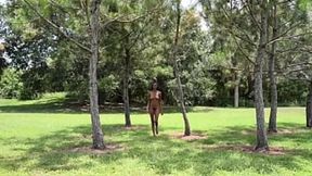 Dark Skin Seductress Strips in Open Park