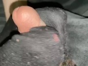 Dirty Sockjob