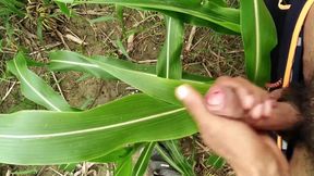 Big Cock Cumming on Field, Milk Cumshot