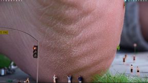 Compilation of the 7 Cities of Giantess Fair Trade - (1080 p)