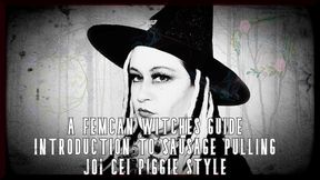 a femcan witches guide introduction to sausage pulling by femcan lana