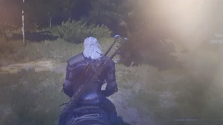 During the computer game "The Witcher" it is a pleasure to finish.