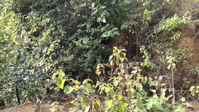 Hot Girlfriend with Wet Pussy and Lots of Orgasms. Loud Groans. Dirty Talk