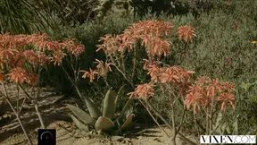 Rich stepbrother paid to fuck blonde MILF