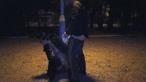 A submissive slut wife takes my piss in her mouth in a public park