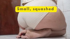 Small, squashed by an ass