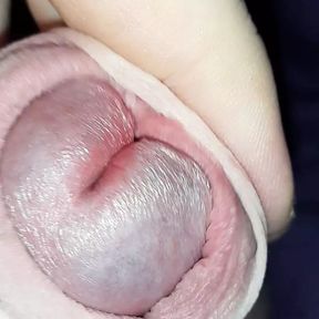 Close up precum and foreskin play