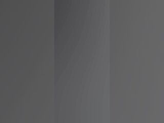 Flock of birds over Vercelli