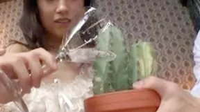 JAV Beauty Soaked Squirting – Creampie Deluge Unleashed