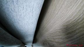 Femdom socks & feet worship (POV)