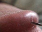 Penis Glans Tissue on Ultra Closeup HD View (Handheld Macro is a Real Challenge)