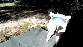 Double panty walk