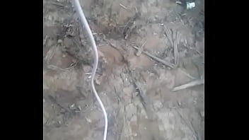 urso come sitio inteiro mijando