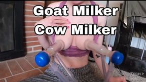 Goat Milker Cow Milker BTS Adventures with Dart