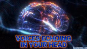 VOICES ECHOING IN YOUR HEAD