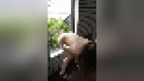 Smartphone personal shooting A strong gal who does naked dildo masturbation at the entrance of the apartment w.268